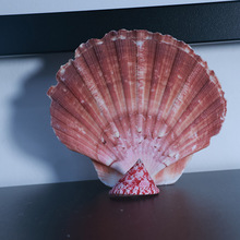 �˱���Ȼ��ɫ�ʺ���ؐ���Ҿ��b��~���쾰diy���N��c�[������P