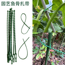 ֲ�����;�~�������Gɫ�@�ֽ������@�־� ���� �@ˇ�~����������