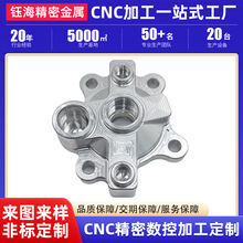 CNC加工锌合金压铸件加工翻砂铸造精密铸铜铝合金压铸件开模定制
