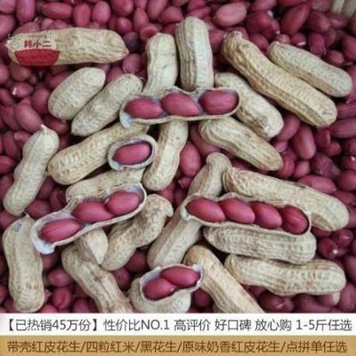 代发四粒红带壳生花生原味新鲜自然晒干红花生农家粉皮小粒薄壳小