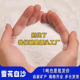 厂家供应雪花白沙草坪砂造景填充儿童娱乐人造沙滩沙仿真雪景白砂