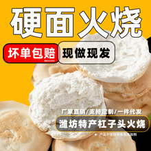 山东特产潍坊杠子头硬面火烧面食烧饼全麦馒头馍烙饼代发面点