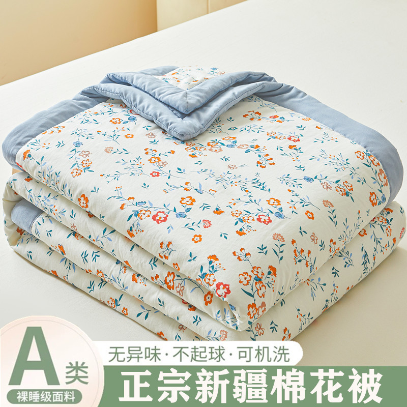 A類母子級新疆綿花夏涼は二人で洗濯できる夏のエアコンはプレゼント布団夏被 ~