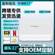 �羳����T95MINIȫ־H313�C픺а�׿10����4K�W�j�C픺����QTVBOX