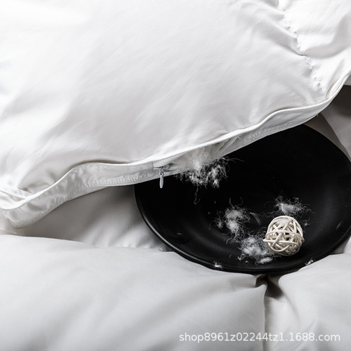 Bedding hotel linen down comforter core B&B warm soft down blanket thick single double winter quilt wholesale