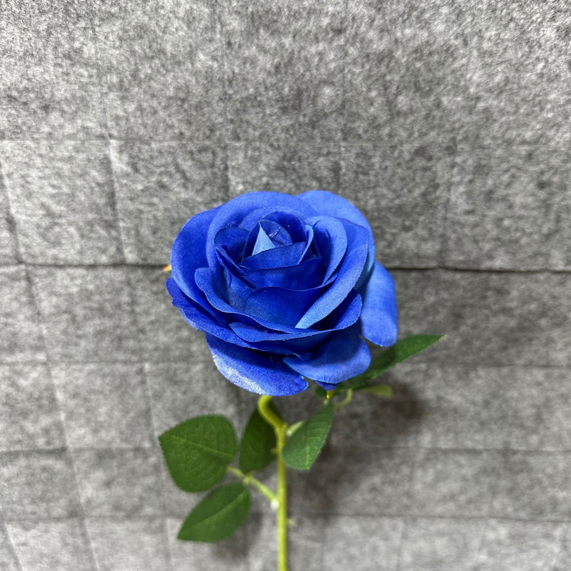 진한 파란색