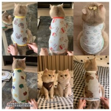 ؈�䴺���·�����ë������؈С؈��ż؈���y�u���{؈͸��W������