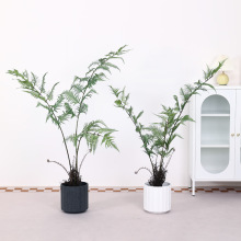 ������^ާ��zާ�Rβާ�Ҿ��bGֲ���Է���ާ������������l