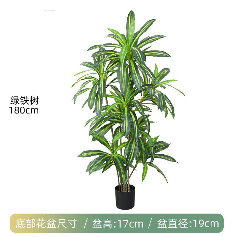 180cm 암호화된 6극 녹색 철나무