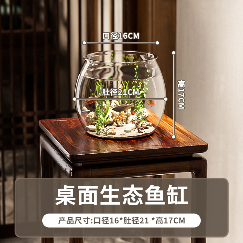 デスクトップ水槽、リビングルーム、小さな生態金魚水槽、オフィスデスク造園、丸型ベタ水槽、高透明カメ水槽|undefined