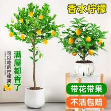 ˮʘԎ͏d̨҃ļGֲ͸ߗUǿʳ