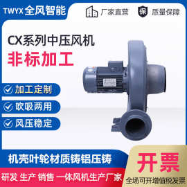 工业粉尘除尘器用中压风机 废塑料粉尘处理设备配套中压鼓风机