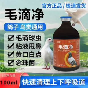 ë�΃�ِ�����������W�^ë���x���x�B��ÿ����������º�����