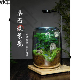 ����΢���^����֮�����Bƿ���������k���ҾGֲ��Ʒ�辰���B����̦