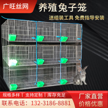 月销200免清粪兔笼 9位兔笼12位兔笼 养殖兔子笼 大型养殖兔子笼