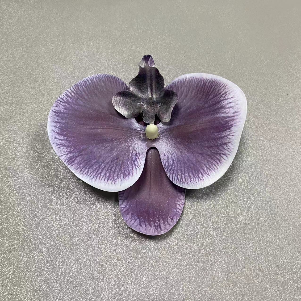 19호
