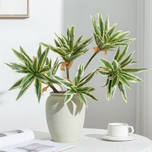 ����Gֲ�ٺ����b��F�����ľ�Ꭷ��ֲ��廨���������~����