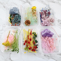 Floral Arrangement Kit, Birthday Dried Flower Handmade Picture Frame, Empty Paper Fan DIY Small Bouquet Floating Gift