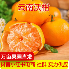 云南高山沃柑广西武鸣沃柑新鲜水果当季蜜桔柑橘砂糖橘子非皇帝柑