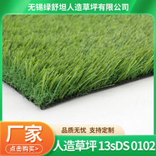 ƺ13sDS 0102÷Ƥ¶̨ͥԺ˹ϾGֲ̺