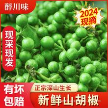 2025新鲜野生现采山胡椒云南贵州产木江子酱配料拌饭调料木姜子