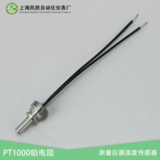 测量仪器温度传感器 不锈钢螺钉式温度探头 PT1000热电阻厂家直供