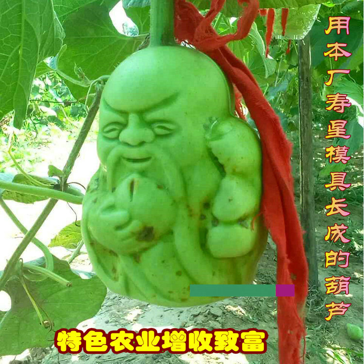 老寿星葫芦1斤苹果定型10公分桃子梨人参果艺术葫芦塑料定型模具