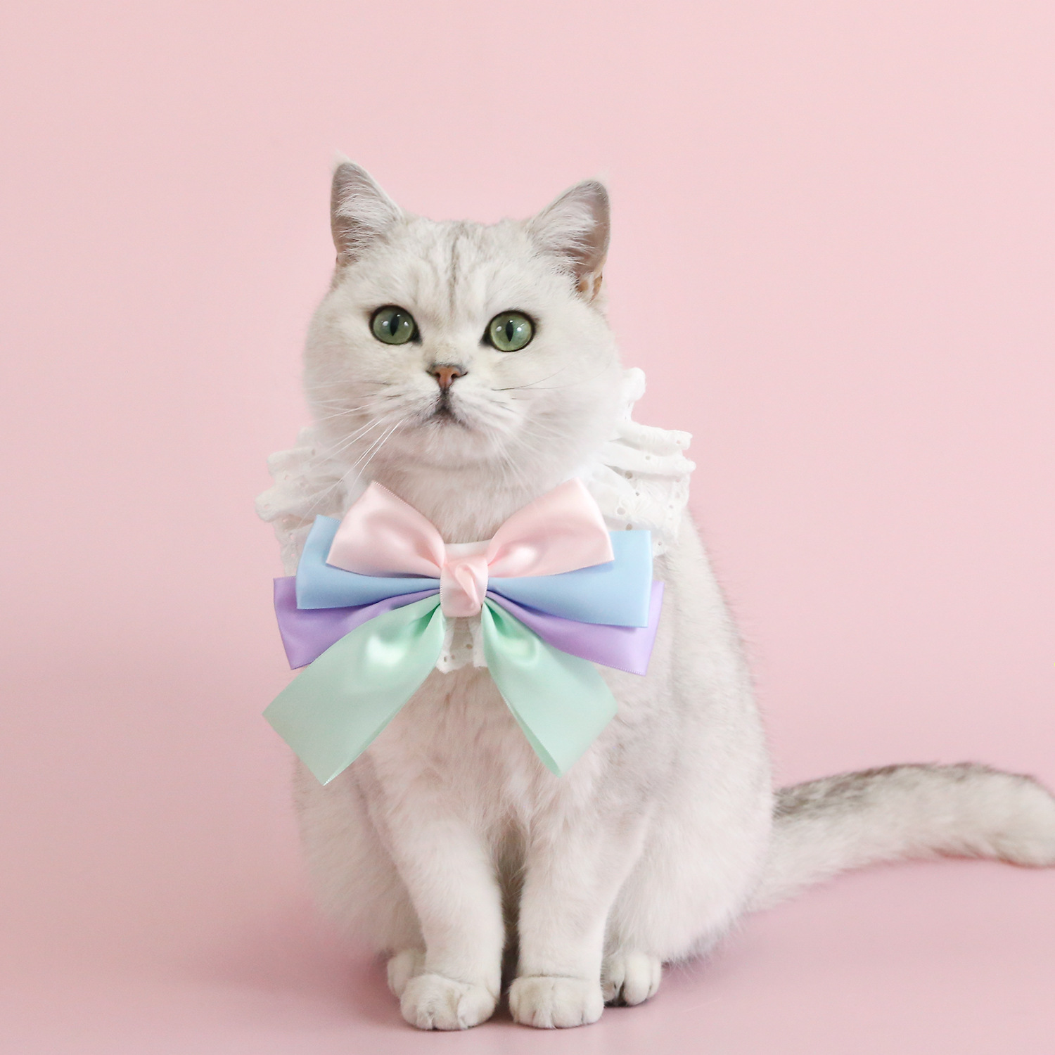 Mascotas de encaje super gran arco bib de encaje princesa muñecas gatos perros pequeños y medianos collar de cumpleaños image 4