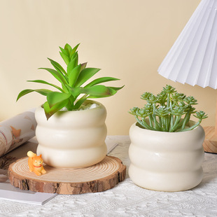 �մɻ�������m�������軨�ܶ���Nֲ�п״�ڏ�͸�⻨��»��մ�