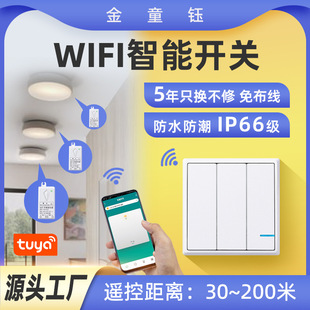 Tuya Wireless Control Smart Switch App Remote Control Voice Alexa Cross-Border Home Modification Receiver