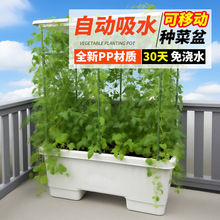 �߲����̨�N����N���L�l�������ԷNֲ��Ӻ������̨�N�˻���