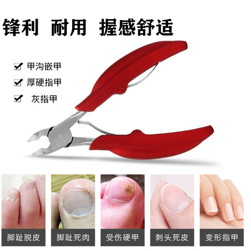 Manufacturer wholesale stainless steel hawkbill pliers hawkbill scissors for trimming thick nails horn pliers manicure tools ax nail clippers