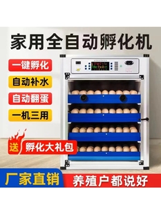 Free Shipping Incubator Small and Medium-Sized Household Incubator Rutin Chicken Chick Fully Automatic Egg Incubator Intelligent Egg Incubation