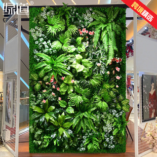 ���M��ֲ����߶��|�з������w�Gֲ���ٻ��bGɫ�����W�t����