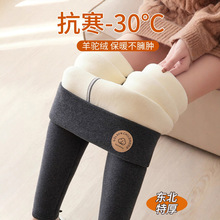 �|�����qһ�w�q���ѝŮ�ӽq�Ӻ�ůѝ��a��ѝ�⴩��ѝ