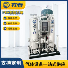 制氮機 PSA變壓吸附制氮系統 高壓制氮設備工業制氮機 氮氣發生器