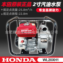 WL20XH1本田2寸汽油抽水机 农用灌溉水泵抗旱自吸泵 高扬程大流量