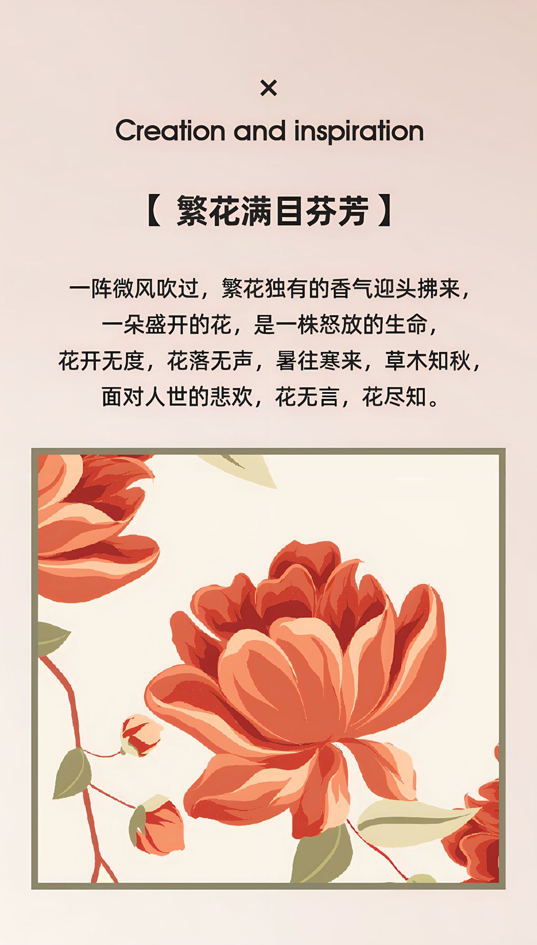 360albumviewer_imgproc_4245340