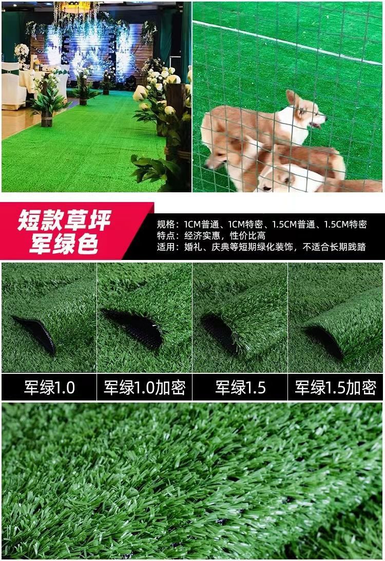 a2965f42-fdd9-4bfc-a4a3-0477a53610b6.jpe