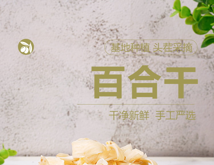 Dragon Tooth Lily Bulb (Lilium brownii) — Dried Sulfur-Free Bai He, 130g Jar key features