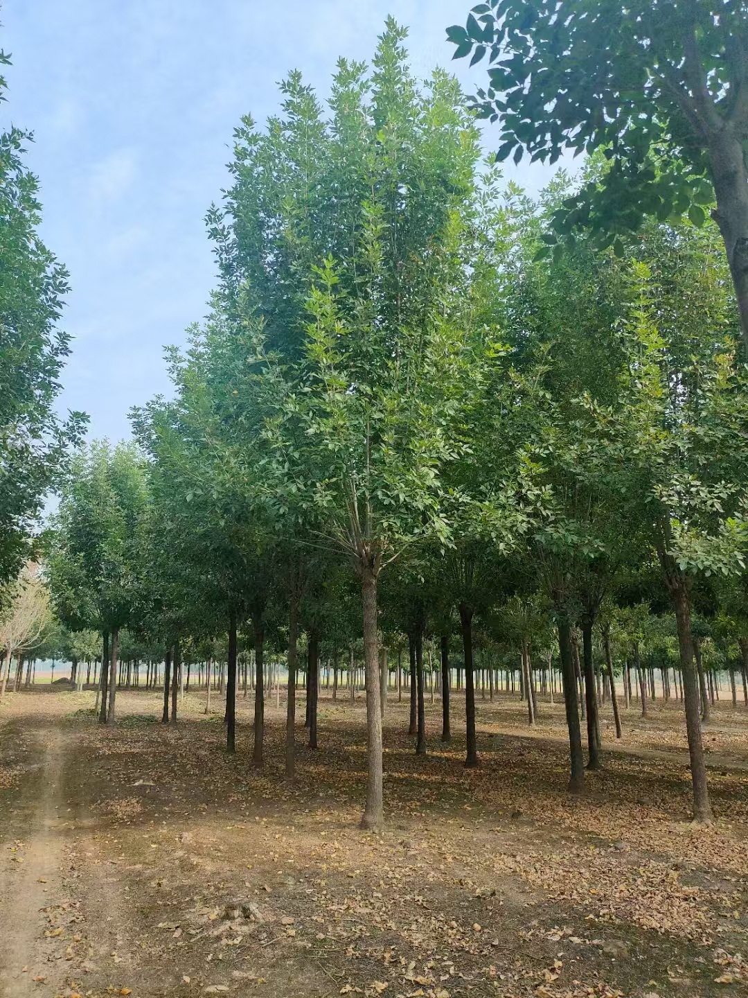 ΢��ͼƬ_20241016091626