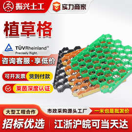 园林绿化停车场HDPE塑料草格平口草坪护坡小区花园消防通道植草格