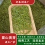 霍山工艺直发原产地新茶