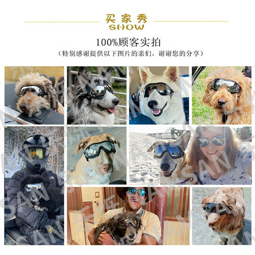 Pet Glasses Dog Supplies Goggles Waterproof Windproof Sunscreen UV Protection Large Dog Glasses Manufacturer Wholesale