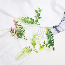 ����ˮ������Pβ��2�沨˹�~�ݷ���ֲ������辰����diy����