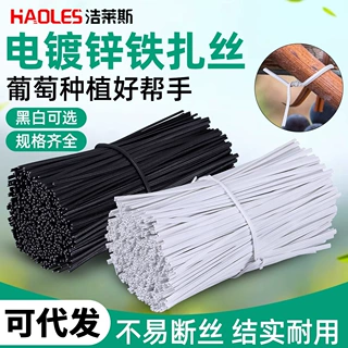 电信光缆绑线户外光纤电缆扎丝园艺捆扎线带铁丝包塑光伏通信扎线