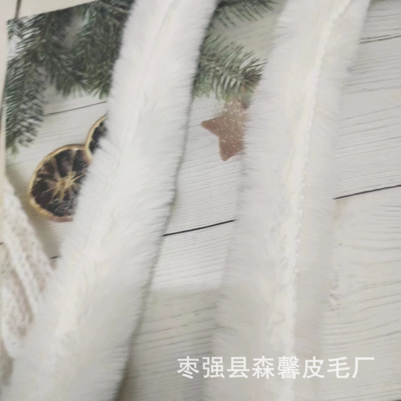 微信图片_202310101419321