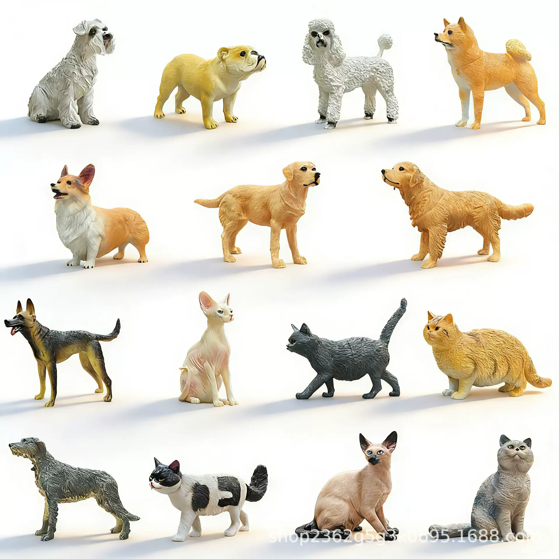 跨境仿真动物模型猫狗贵宾犬柴犬金毛柯基暹罗猫蓝猫橘猫摆件模型