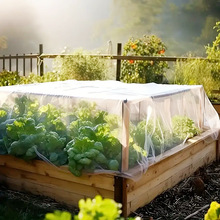 ���@�W���w�W�B����ϾW�ˈ@ͥԺ�W�����x�W��ֲ�ﱣ�o��������