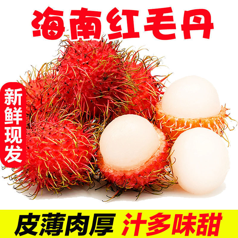 Rambutan wholesale Hainan Season fresh fruit Litchi fruit Full container specialty Mao Dan